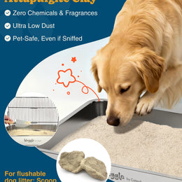 Waggle 100% Natural Mineral Attapulgite Dog Litter