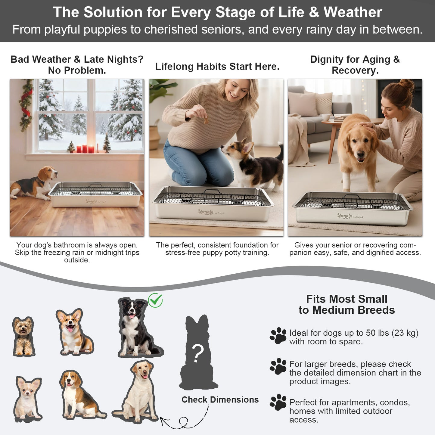 Waggle Steel Dog Toilet | Stainless steel base | Antibacterial and deodorizing
