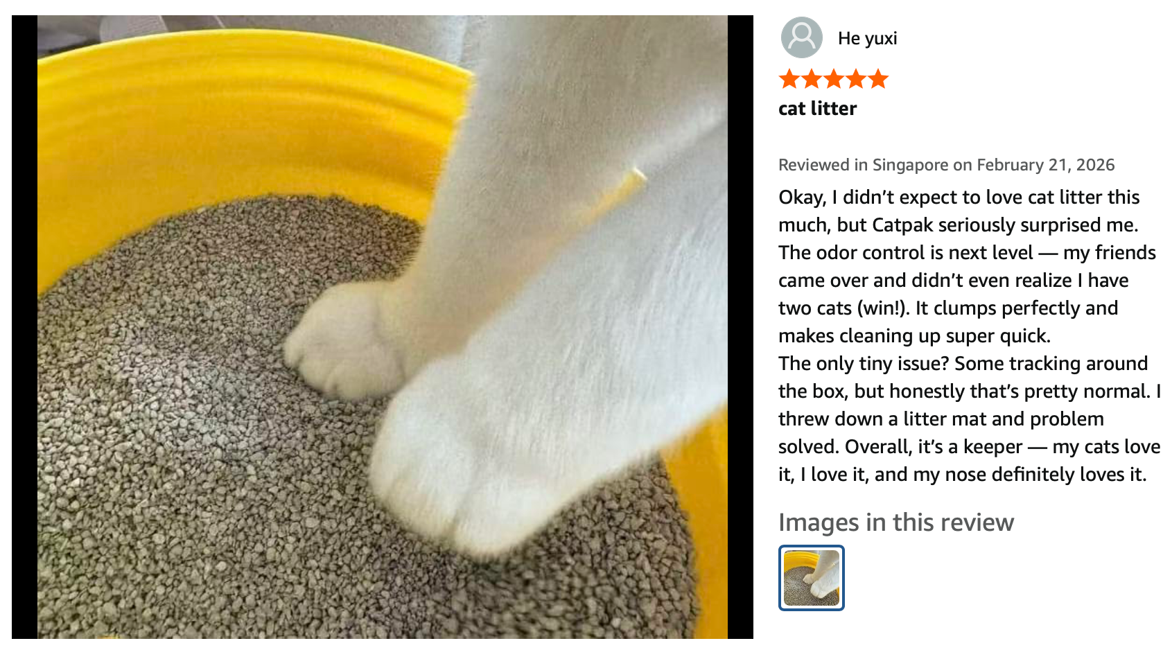 He yusi 來自新加坡的五星好評——CATPAK 真係令我大開眼界。